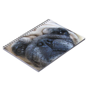 Cuaderno Ponte bien pronto perro de pug enfermo