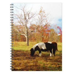 Cuaderno Pony/caballo en miniatura negro y blanco