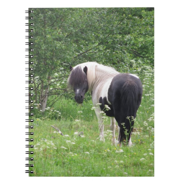 Cuaderno Pony de pintura negra y blanca en hierba y flores (Frente)
