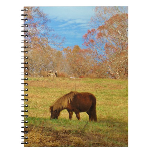 Cuaderno Pony en miniatura marrón (Frente)