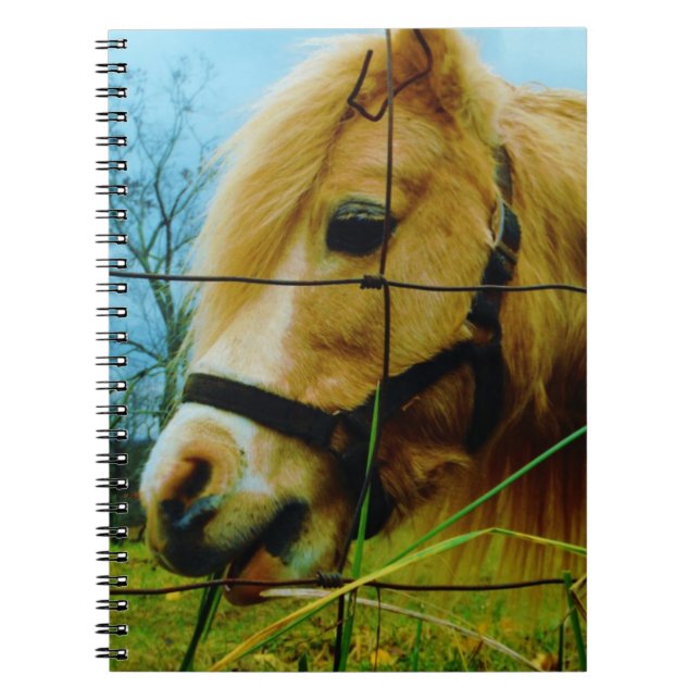 Cuaderno Pony en miniatura rubia / cielo azul de caballo (Frente)