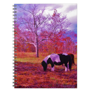 Cuaderno PONY EN UN campo de color RÁINBOW