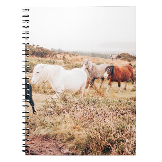 CUADERNO PONY HERD EN EL OTOÑO (Frente)
