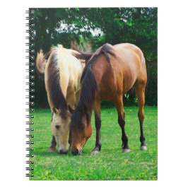 Cuaderno Pony Love Notebook