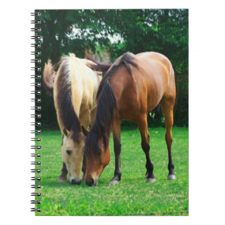 Cuaderno Pony Love Notebook