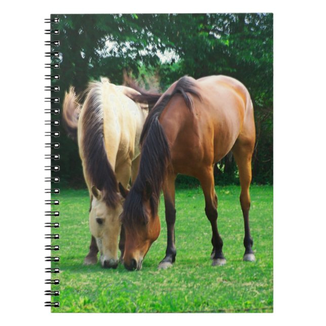 Cuaderno Pony Love Notebook (Frente)