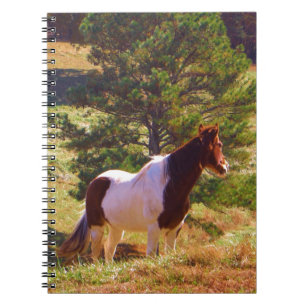 Cuaderno Pony pintado por el pino