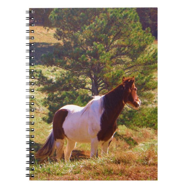Cuaderno Pony pintado por el pino (Frente)