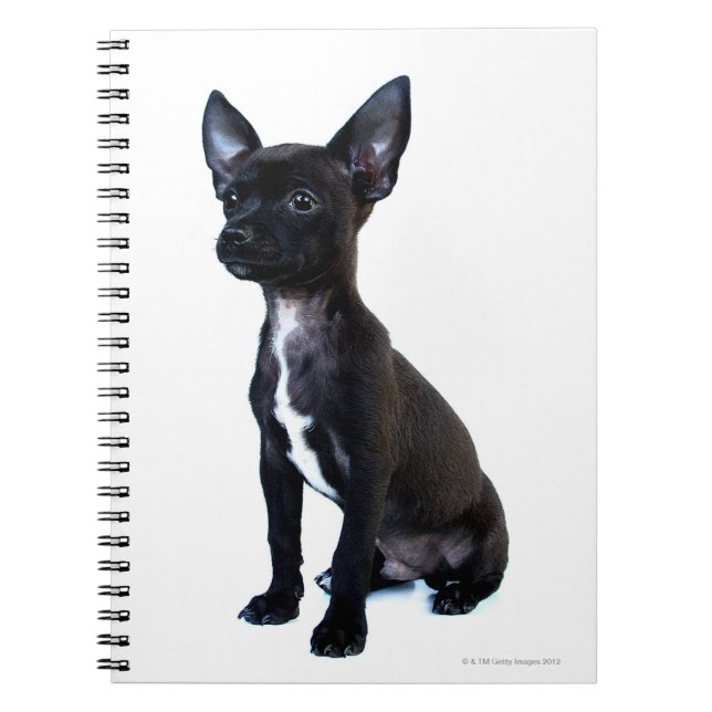 Cuaderno Popa chihuahua (Frente)
