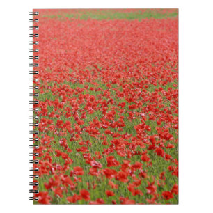 Cuaderno ¡Poppies - miles!
