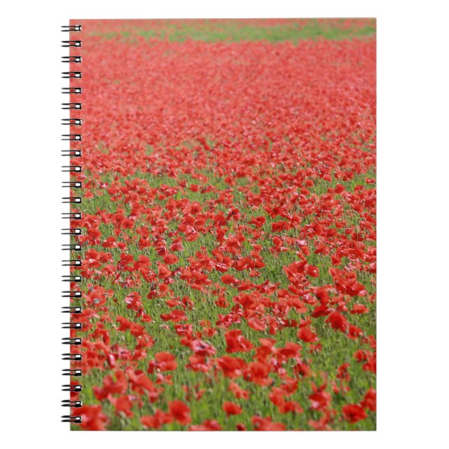 Cuaderno ¡Poppies - miles! (Frente)