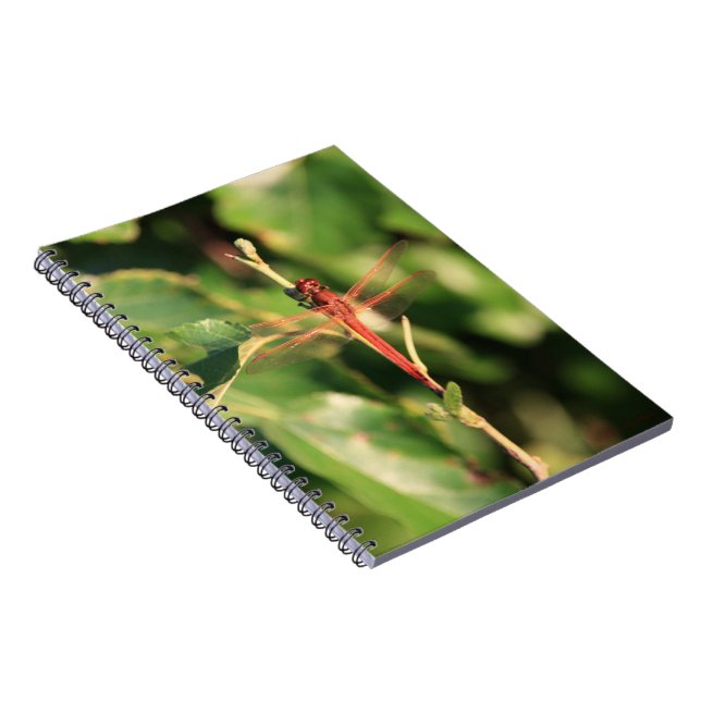 Cuaderno Portátil #3725 (Lado Derecho)