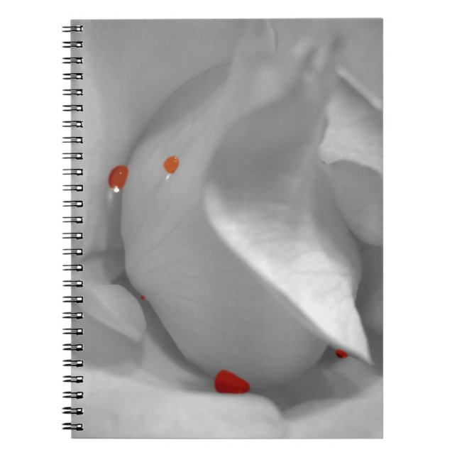 Cuaderno Portátil acuático eoliano (Frente)