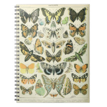 Portátil Adolphe Millot Butterflies Pattern-A