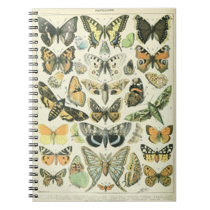 Cuaderno Portátil Adolphe Millot Butterflies Pattern-A