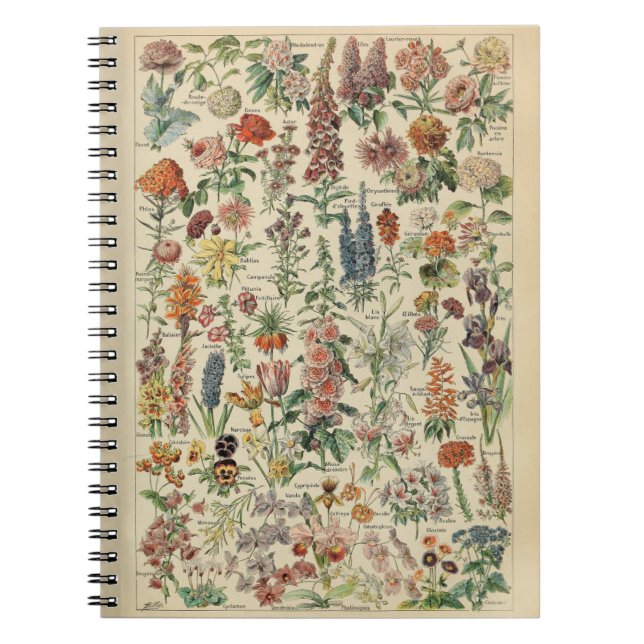 Cuaderno Portátil Adolphe Millot Flowers (Frente)