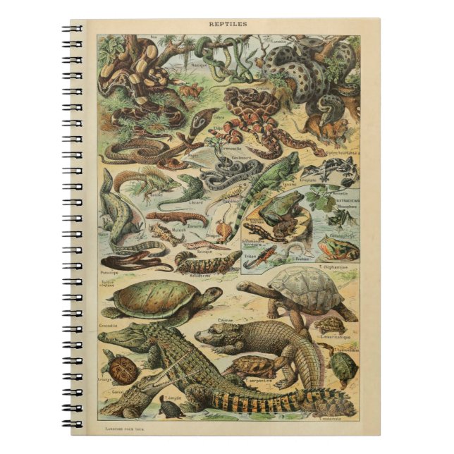 Cuaderno Portátil Adolphe Millot Reptile Pattern (Frente)