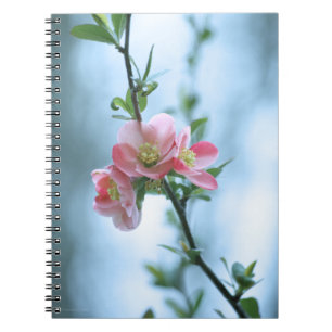 Cuaderno Portátil Apple Blossom #P0365