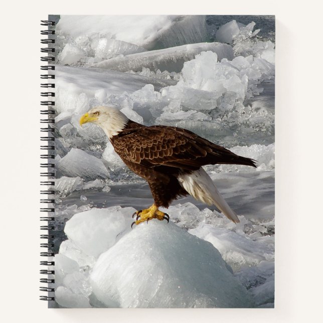 Cuaderno Portátil Bald Eagle (Anverso)