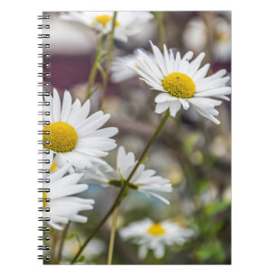 Cuaderno Portátil blanco de marea
