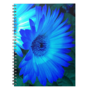 Cuaderno Portátil Brilliant Blue Daisies