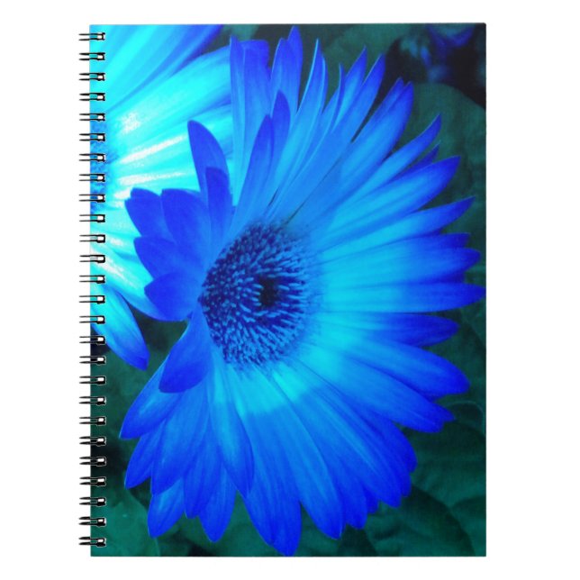 Cuaderno Portátil Brilliant Blue Daisies (Frente)