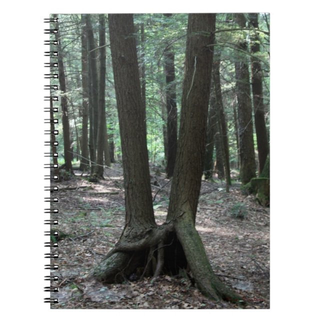 Cuaderno Portátil Buddy Trees (Frente)