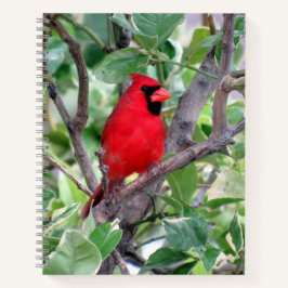 Cuaderno Portátil cardinal (pájaro), 8,5 x 11 +