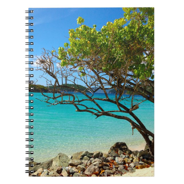 Cuaderno Portátil Cinnamon Bay St. John USVI (Frente)
