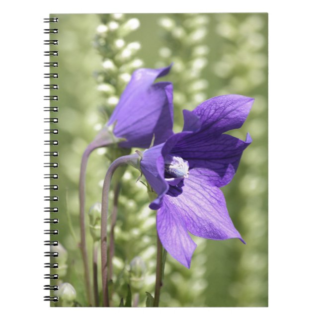Cuaderno Portátil con flor suave verde y púrpura (Frente)
