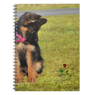 Cuaderno Portátil con ovejas alemanas admirando a un rosa