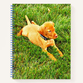 Cuaderno Portátil con una porción de Vizsla