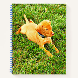 Cuaderno Portátil con una porción de Vizsla