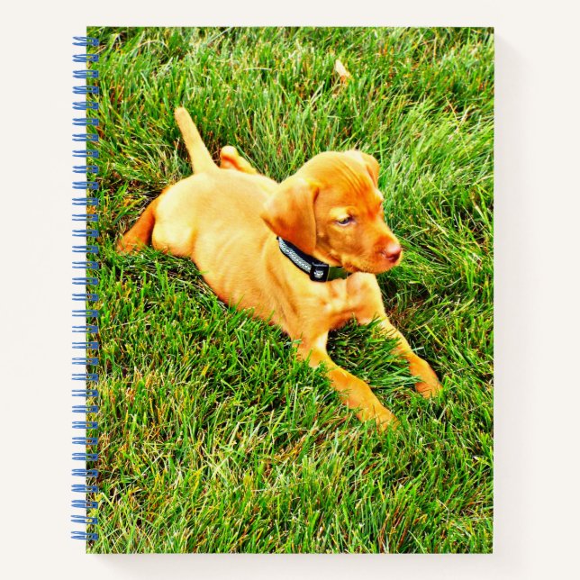 Cuaderno Portátil con una porción de Vizsla (Anverso)