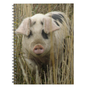 Cuaderno Portátil Cute Pig