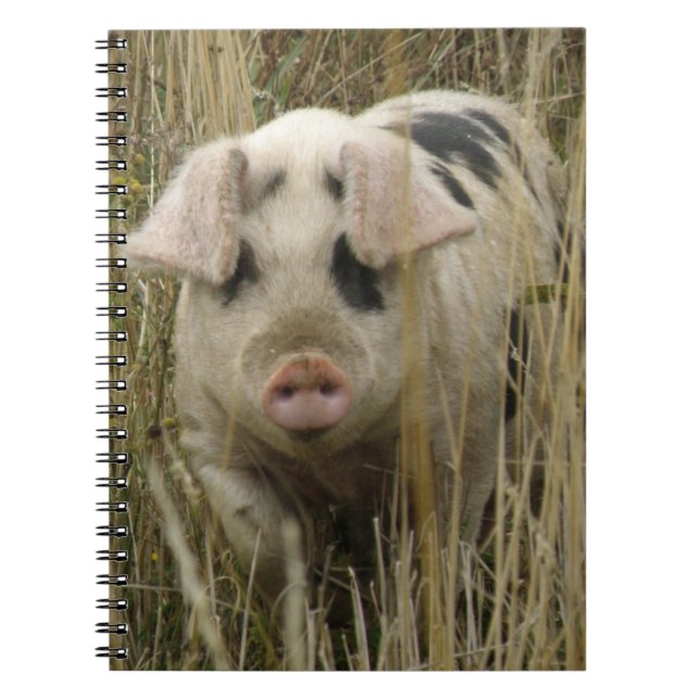 Cuaderno Portátil Cute Pig (Frente)