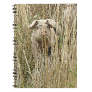 Cuaderno Portátil Cute Spotty Pig