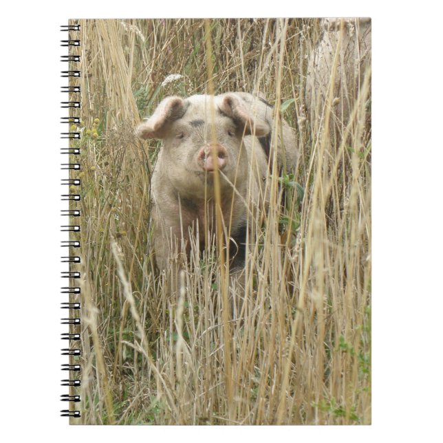 Cuaderno Portátil Cute Spotty Pig (Frente)