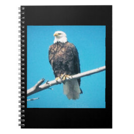Cuaderno Portátil de águila calva