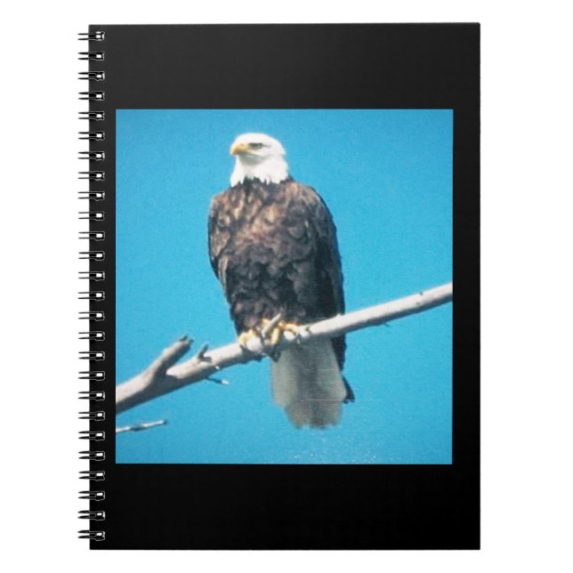 Cuaderno Portátil de águila calva (Frente)