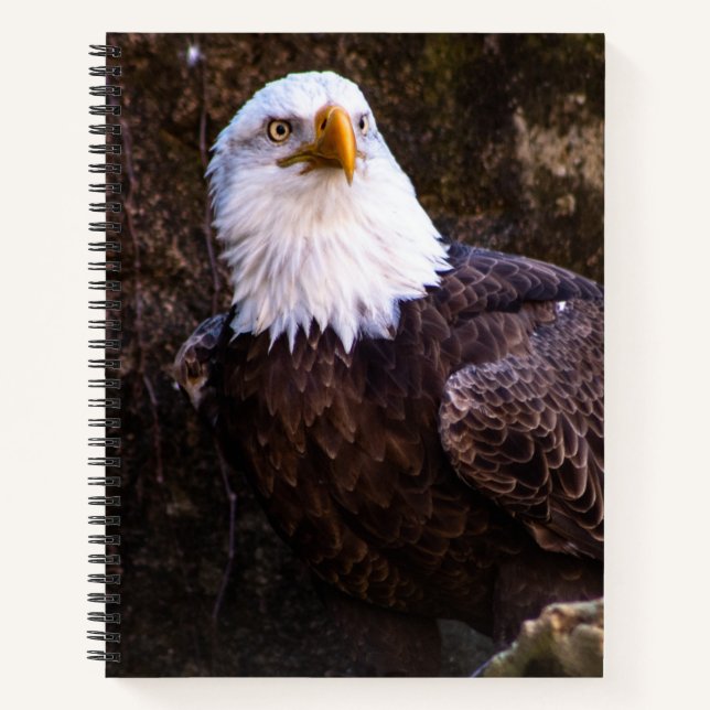 Cuaderno Portátil de águila calva (Anverso)
