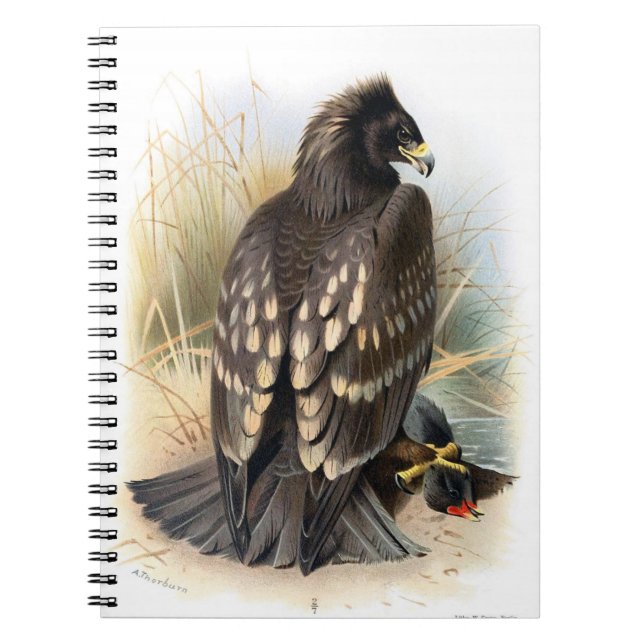 Cuaderno Portátil de águila vista de época (Frente)