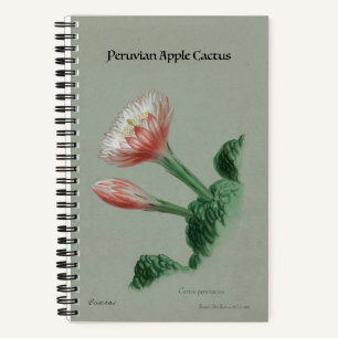 Cuaderno Portátil de Apple Cactus peruano - Botánico de épo