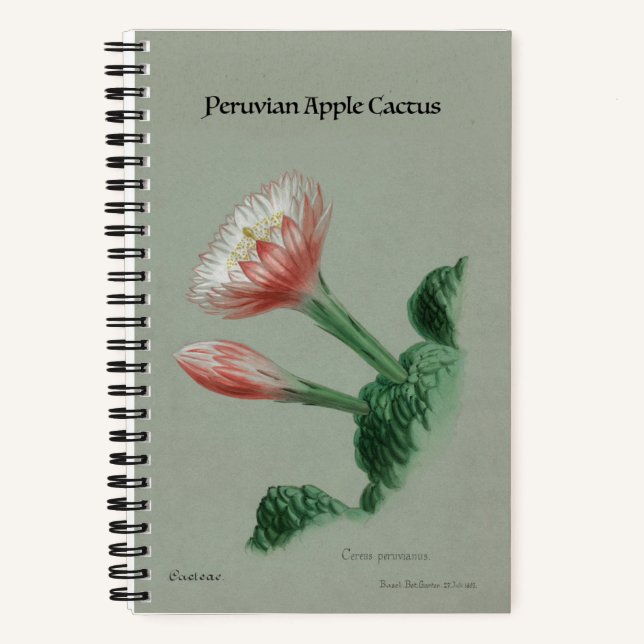 Cuaderno Portátil de Apple Cactus peruano - Botánico de épo (Anverso)