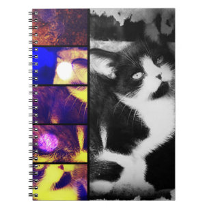 Cuaderno Portátil de arte fotográfico Tuxedo Kitten