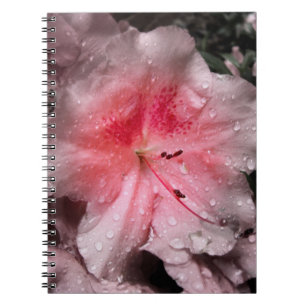 Cuaderno Portátil de brillo interno
