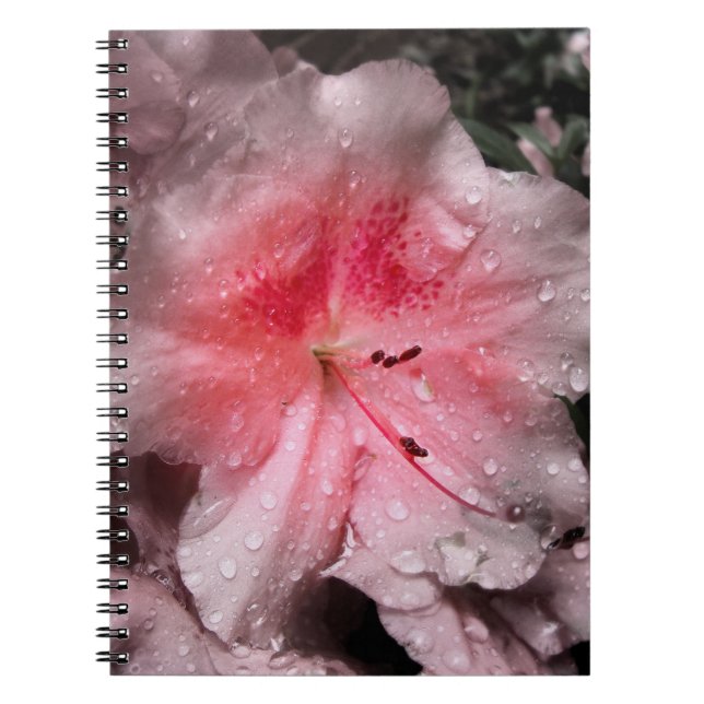 Cuaderno Portátil de brillo interno (Frente)
