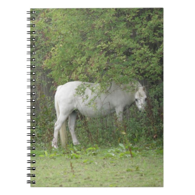 Cuaderno Portátil de caballo blanco tímido (Frente)