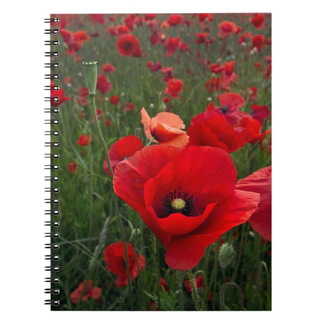 Cuaderno Portátil de campo de disquete (Frente)