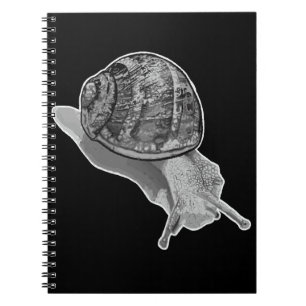 Cuaderno Portátil de caracol pintado